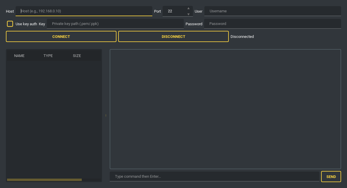 SSH client